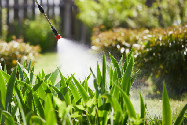 Tamper-Resistant Bait Stations for Rodents in Buckner