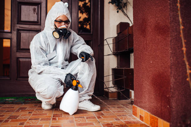 Attic and Crawl Space Rodent Treatment in Buckner